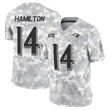 ＃14 Youth Kyle Hamilton Arctic Camo Limited Baltimore Ravens 2024 Salute to Service Jersey