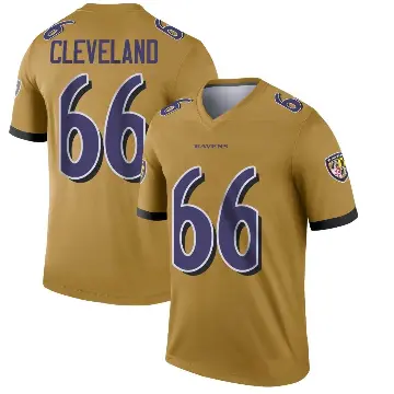 ＃66 Youth Ben Cleveland Gold Legend Baltimore Ravens Inverted Jersey